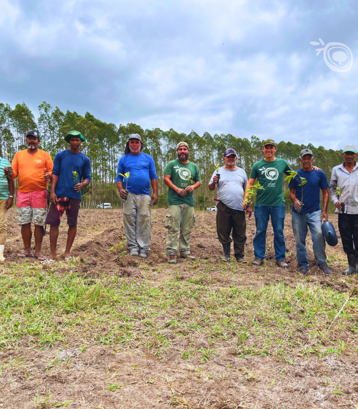 Projeto Pomares da Mata Atlântica realiza etapa de Plantio de SAF no Assentamento Jequitibá